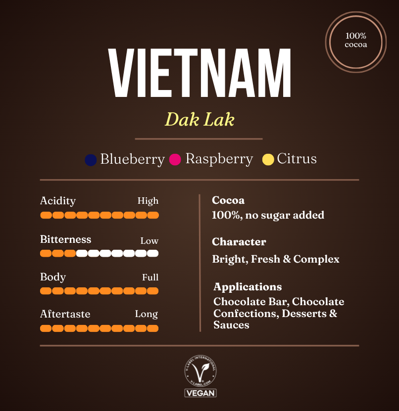Chocolate Mass Vietnam Dak Lak 100% 1 Chocolate Mass Vietnam Dak Lak 100%