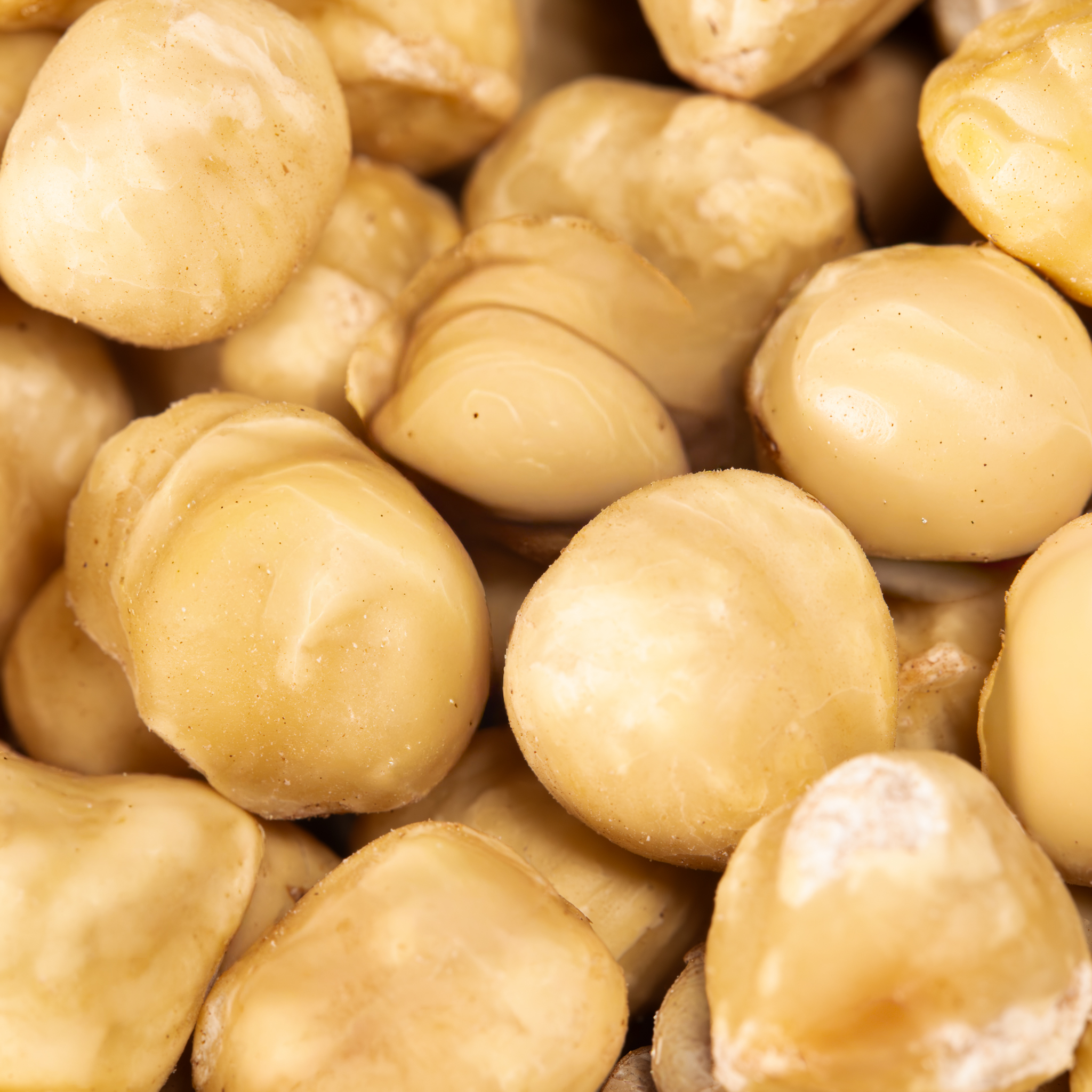 Blanched Hazelnut Kernels – Image 2
